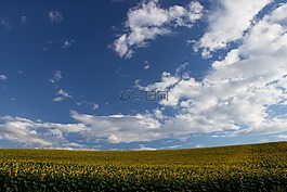 云,天空,字段