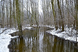 河,冬季,雪