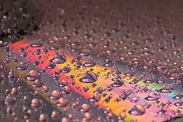 一滴水,cd,dvd