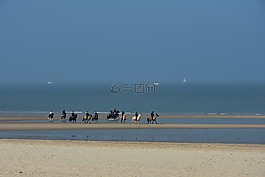 馬術(shù)組,海灘,北海