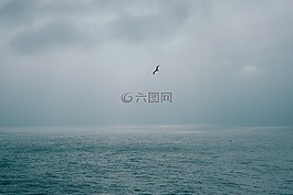 海,海洋,水