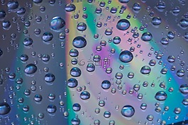 cd,dvd,水