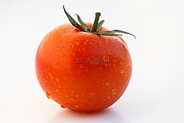 番茄,圓潤(rùn)的,蔬菜