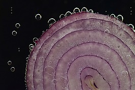 洋蔥,紅洋蔥,原料