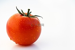 番茄,圓潤(rùn)的,蔬菜