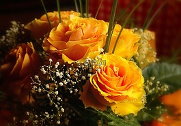 玫瑰,花束,鮮花