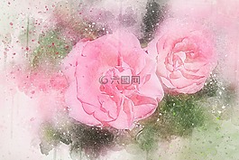 鮮花,玫瑰,藝術(shù)
