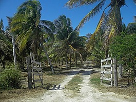 san crisanto,墨西哥,天空