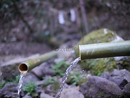 水,竹,神