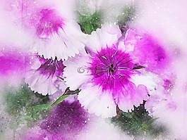鮮花,紫色,藝術(shù)