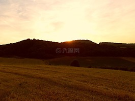 日落,森林,字段