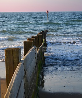 海灘,海,水