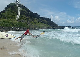 海,海洋,水