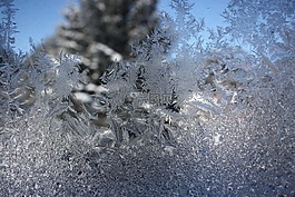 雪,雪花,季節(jié)