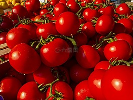 西紅柿,蔬菜,紅色