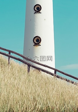 草,木材,發(fā)布