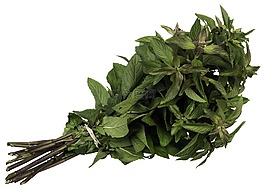 薄荷,香料,草本植物