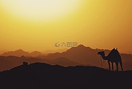 山,高原,云