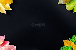 秋,橙色,自然