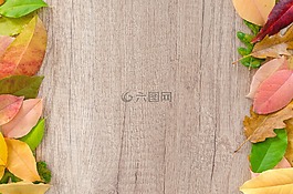 秋,橙色,自然