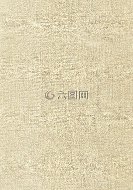 紋理,結構,背景