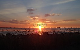 日落,背光,abendstimmung