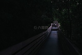 人,走,旅行