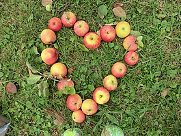 蘋(píng)果,心臟,草