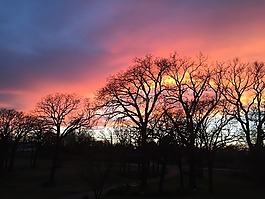 日落,橙色,太陽