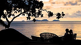 日落,浪漫,夫婦
