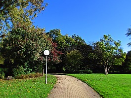 公園,胡同,車道