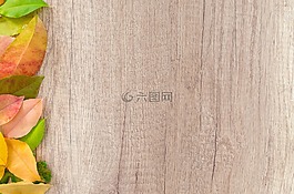秋,橙色,自然