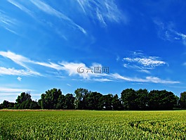 景觀,天空,云
