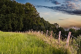 草地,籬笆,牧場