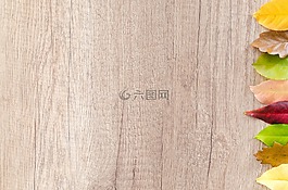 秋,橙色,自然