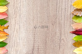 秋,橙色,自然