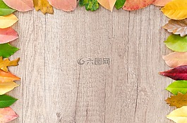 秋,橙色,自然