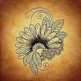 花,抽象,叶子