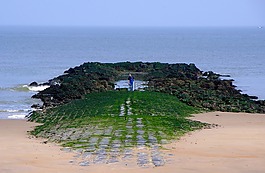 釣魚者,海,比利時