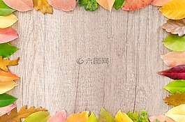 秋,橙色,自然
