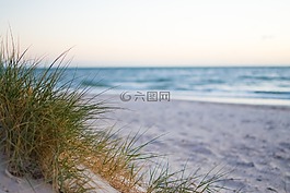 海,海灘,水