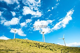 綠色,草,草原