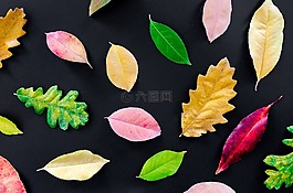 秋,橙色,自然