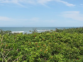 海灘,性質(zhì),mar