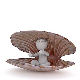 白人男性,3d模型,孤立