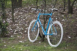 自行車,藍(lán)色,循環(huán)