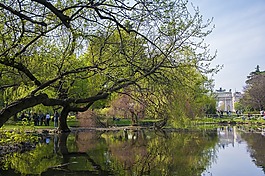 米蘭,公園,意大利