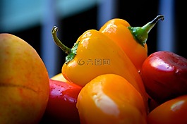 辣椒粉,豆莢,豐富多彩