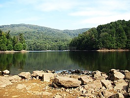 湖,池塘,水