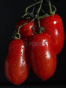 紅色,番茄,蔬菜